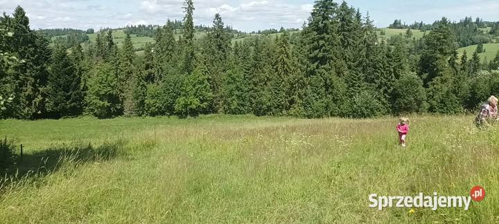 Działka rolna 220000m2 Groń