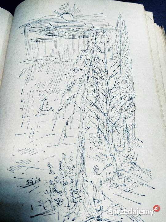 O przepięknej Hannie baśnie polskie Kędziorzyna Warszawa