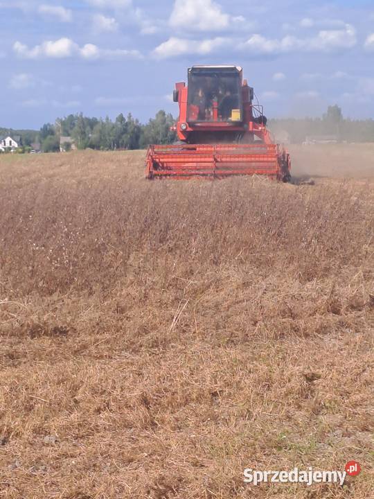 Bizon Z056 świętokrzyskie Kielce