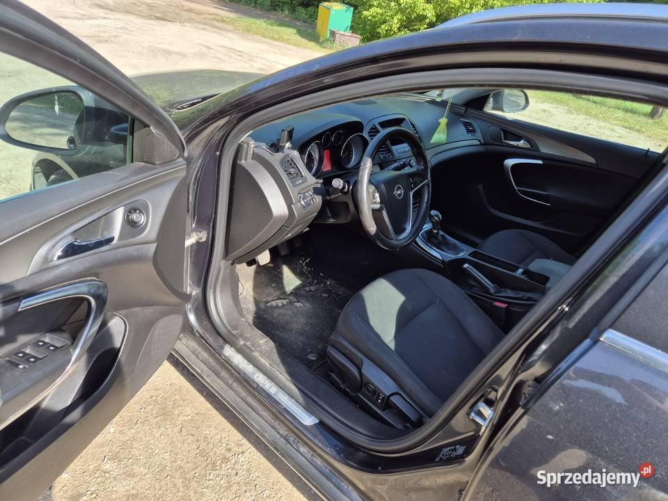 Opel insignia Cierpice