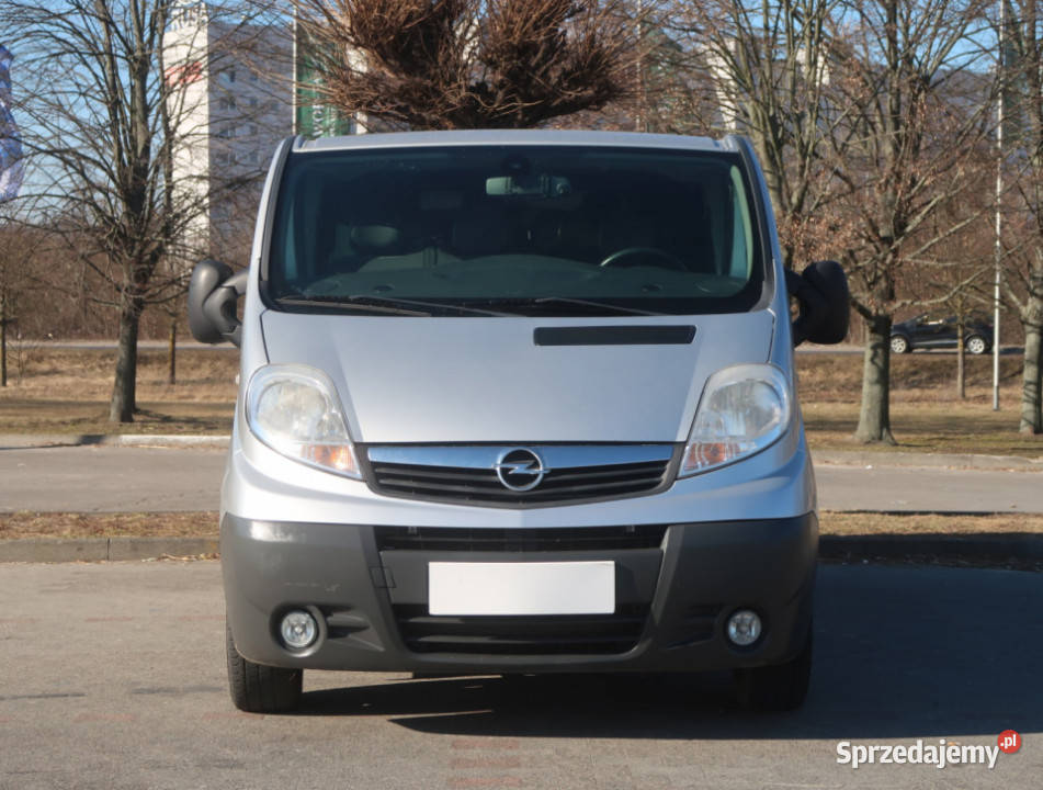 Opel Vivaro 20 CDTI elektryczne lusterka Opel dolnośląskie