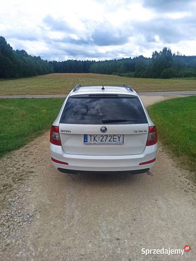 Skoda Octavia 4x4 20 diesel Szwajcaria dobrze świętokrzyskie Kielce