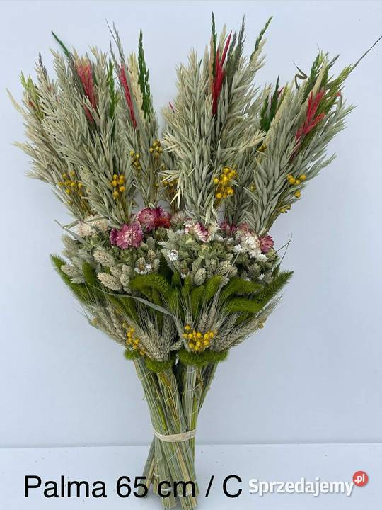 PRODUCENT PALM WIELKANOCNYCH HURT NAJNIŻSZA Lublin
