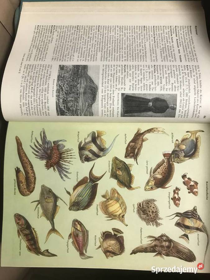 Meyers Neues Lexikon 1961 r Lublin sprzedam