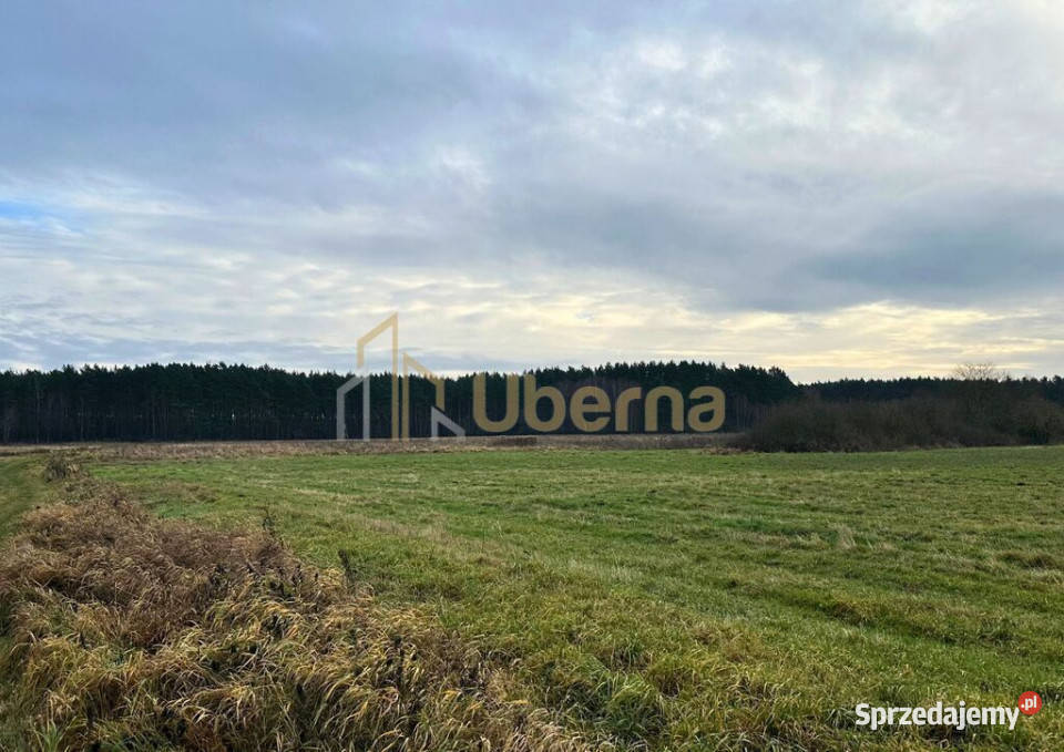 Działka rolna GmGoleniów na sprzedaż Komarowo