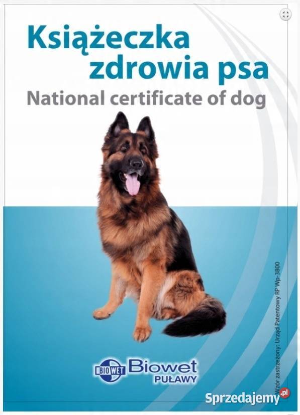 Książeczka Zdrowia Psa Biowet Puławy Owczarek Lubsko sprzedam