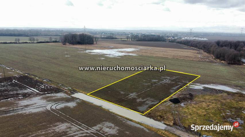 Grunt 4593m2 Gorzyce 110m