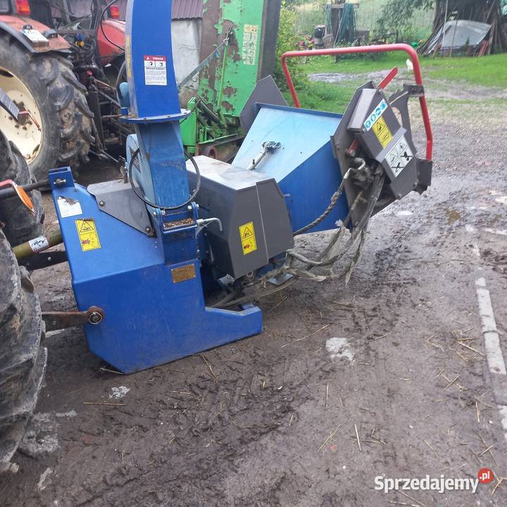 Rebak do gałęzi Kraków