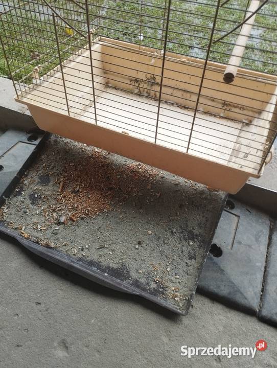 Klatka ptaków Gniewczyna Łańcucka sprzedam