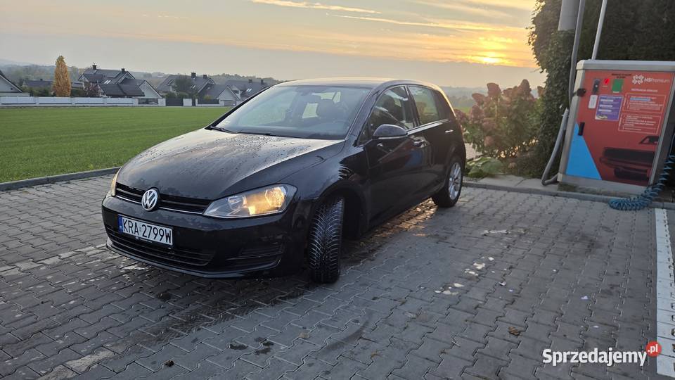 Volkswagen Golf 7 2015r BlueMotion Salon 1 immobilizer Kraków