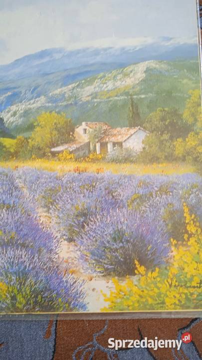 PROWANSALSKI PEJZAŻ Z LAWENDĄ obraz Piła