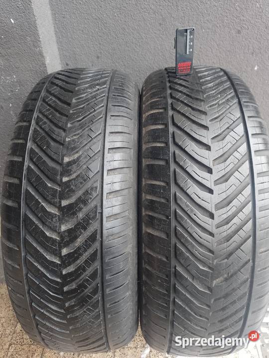 Wielosezonowe Kormoran 16 16cale wielkopolskie Piła