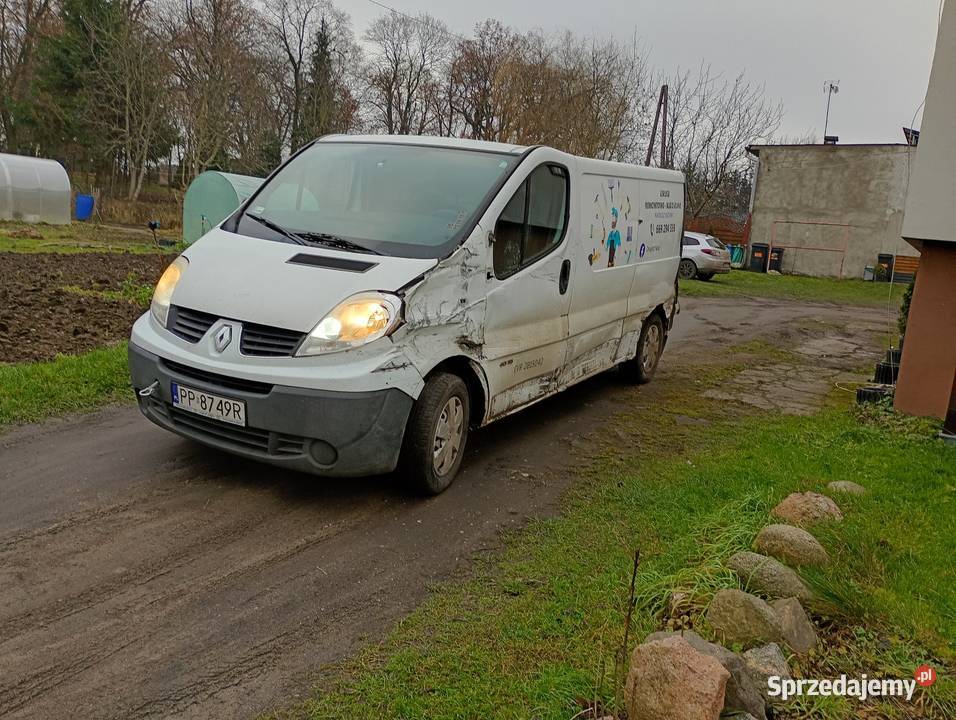 Renault Trafic 20 dCi 115 biały wielkopolskie Dobrzyniewo