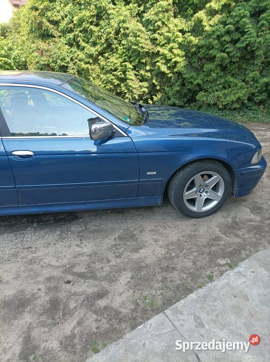 BMW W 39 25 benzynalpg Sierpc