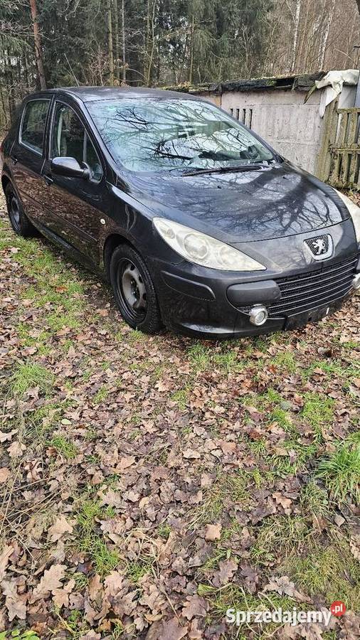 Peugeot 307 14 16v Sątopy