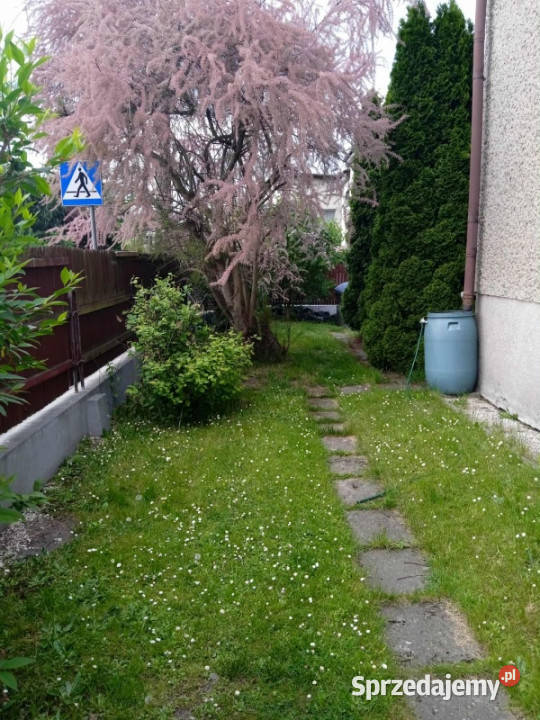Sprzedaż wolnostojący Rybnik