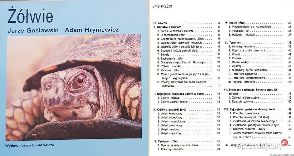 Żółwie Gosławski Hryniewicz album poradnik ISBN 9788378799764 Poradniki, albumy i reportaże świętokrzyskie Kielce