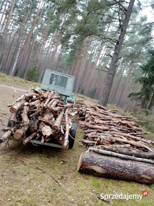 Opał gałęziówka kujawsko-pomorskie Jeżewo