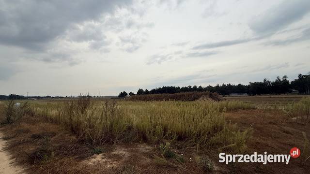 działka budowlana Piotrowice 8 ar z mediami budowlana Słupca