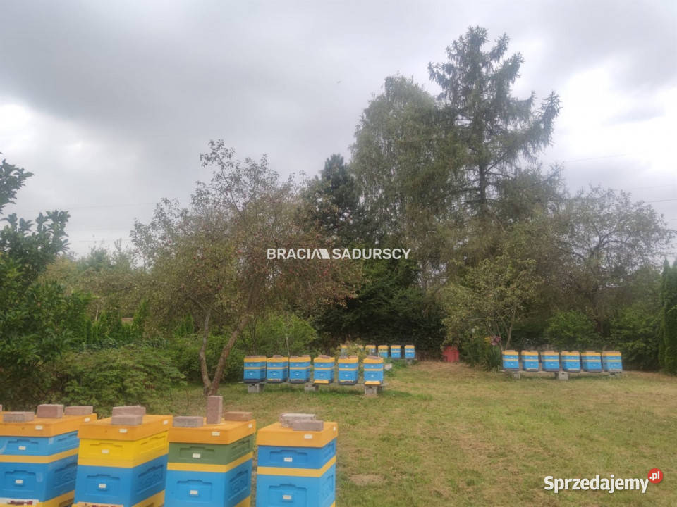 Grunt Liszki Leśna 2800m2