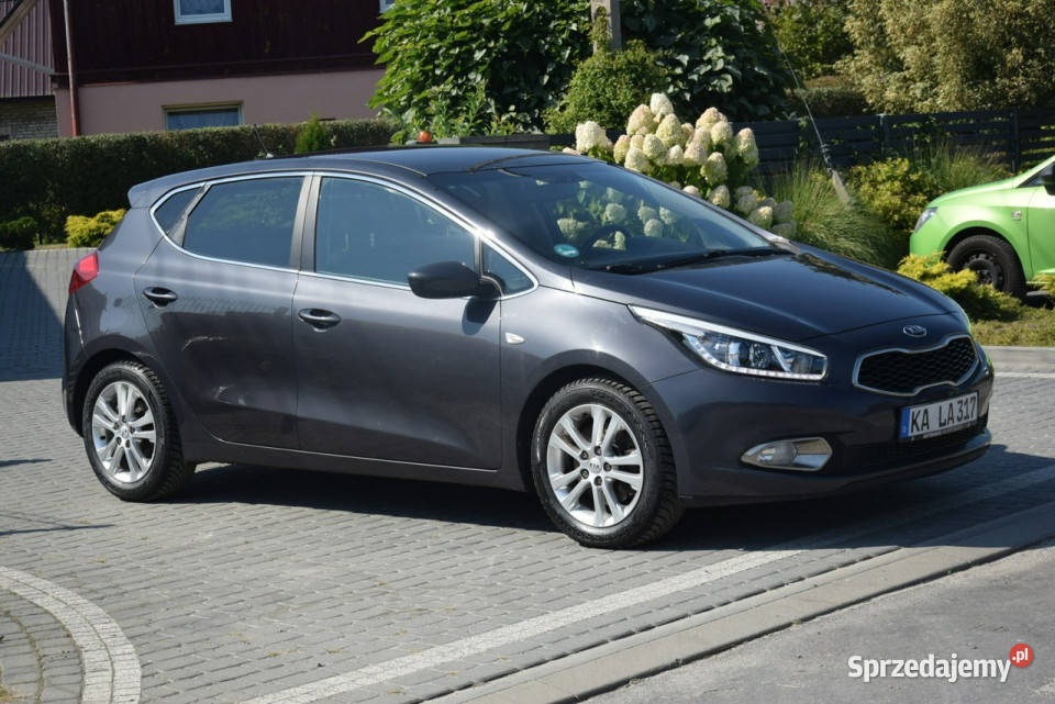 Kia Ceed 14B Navi Kamera 2014r Oryginał lakier Hatchback Majdan Sieniawski