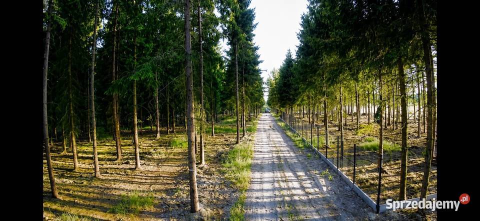Działka bud 1202M2 WZ STUDNIE
