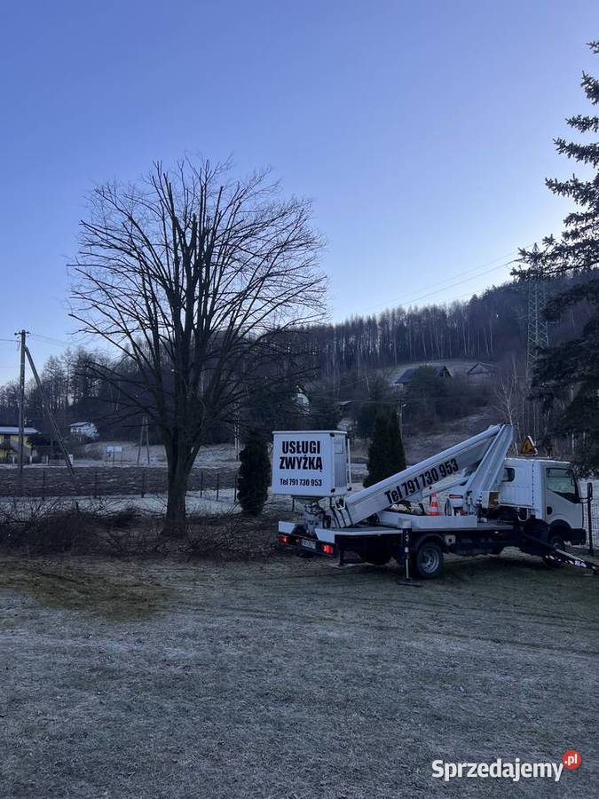 Usługi podnośnikiem koszowym 22m Nowy Sącz