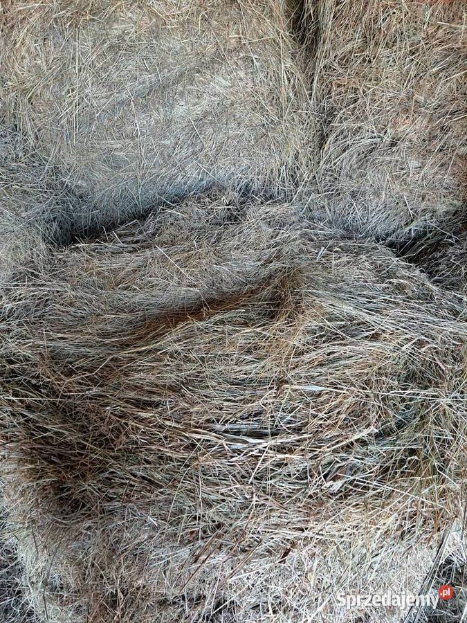 Sprzedam Słomę siano kiszonkę Błonie