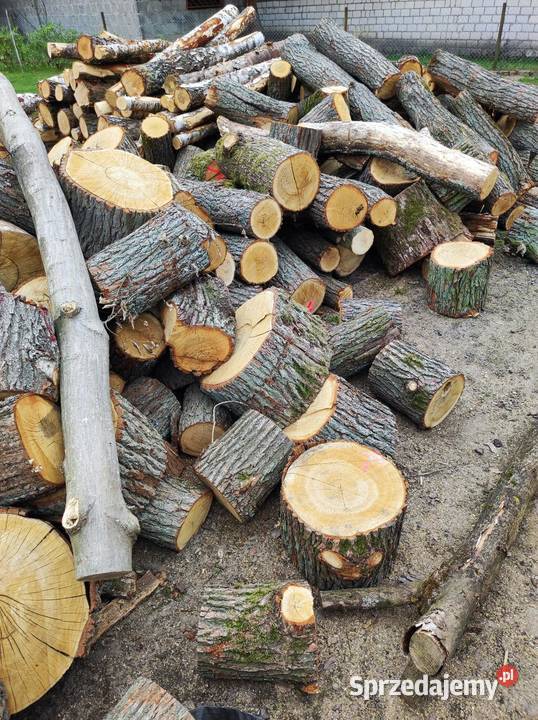 Drewno kominkowe opałowe brzoza dąb wielkopolskie Murowana Goślina sprzedam