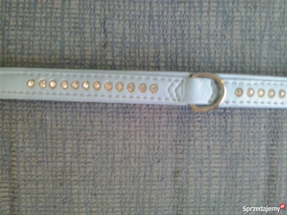 Smycz Flexi Classic S 5 m do 12 Warszawa