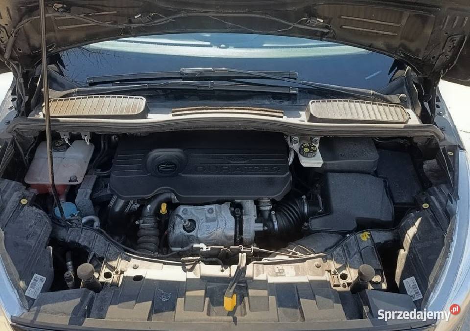 Ford C 2019 15 Diesel kpl Kół zimowych