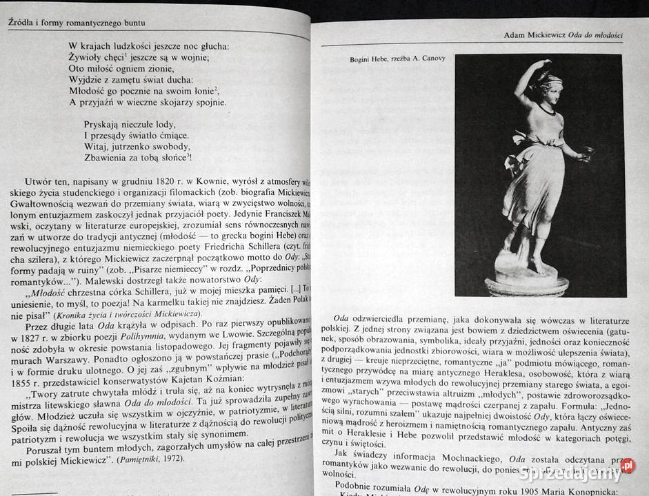 Romantyzm Stanisław Makowski lubelskie sprzedam