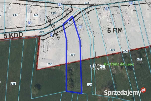 sprzedaży działki Dąbrowa Widawska 2500m2