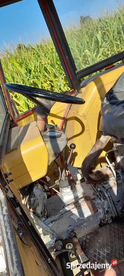 Ursus C300 C328 Sierpc sprzedam