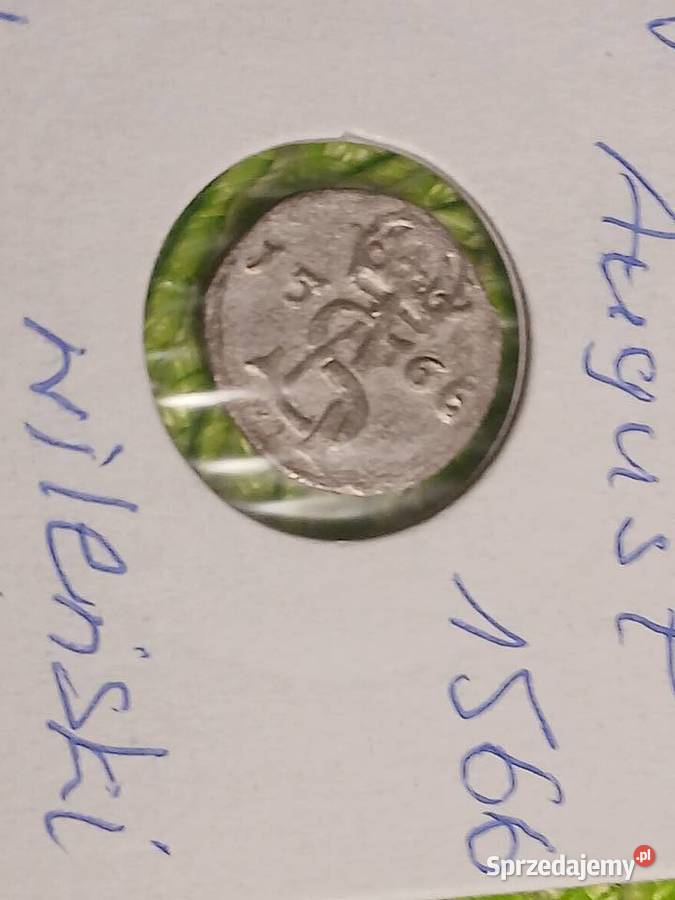moneta srebrna polska Zygmunt II Augyst z 1566r Łomża sprzedam