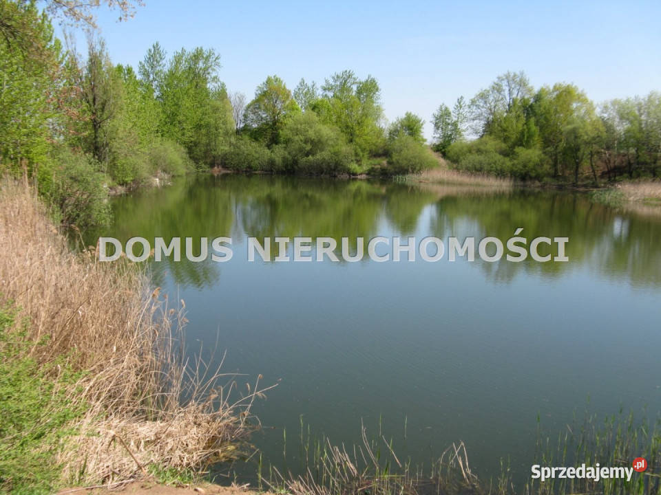 Grunt Kutno 43352m2 43352m2 sprzedam