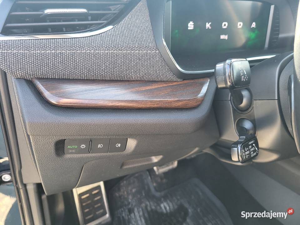 Skoda Octavia 20 TDI 4x4 Scout DSG Matrix LED