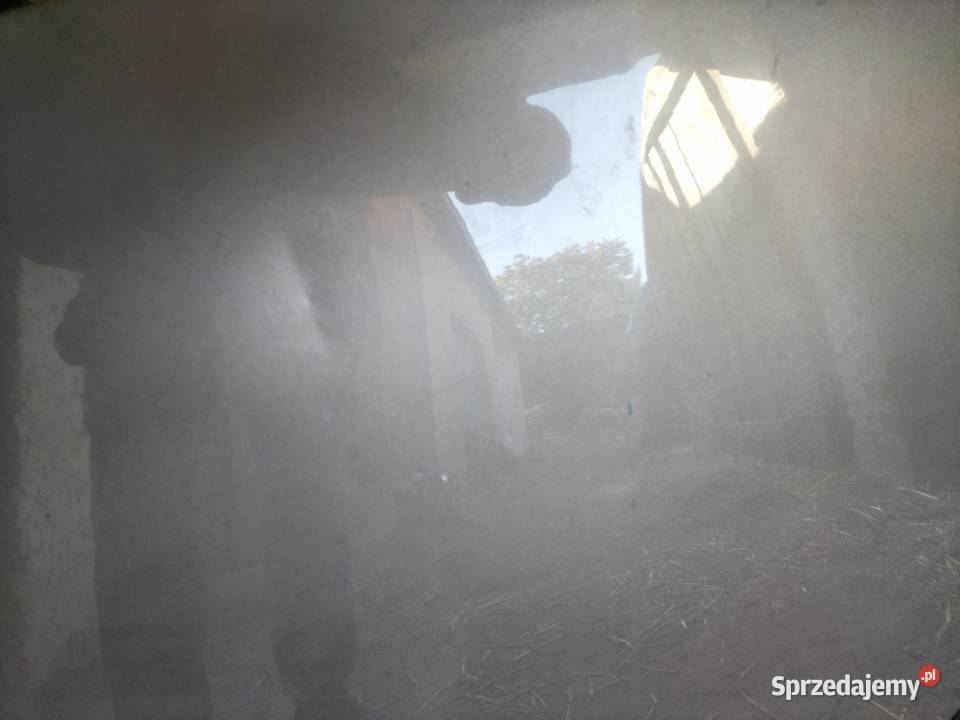 RENAULT CLIO 3 LIFT MASKA lubelskie Kamień-Kolonia