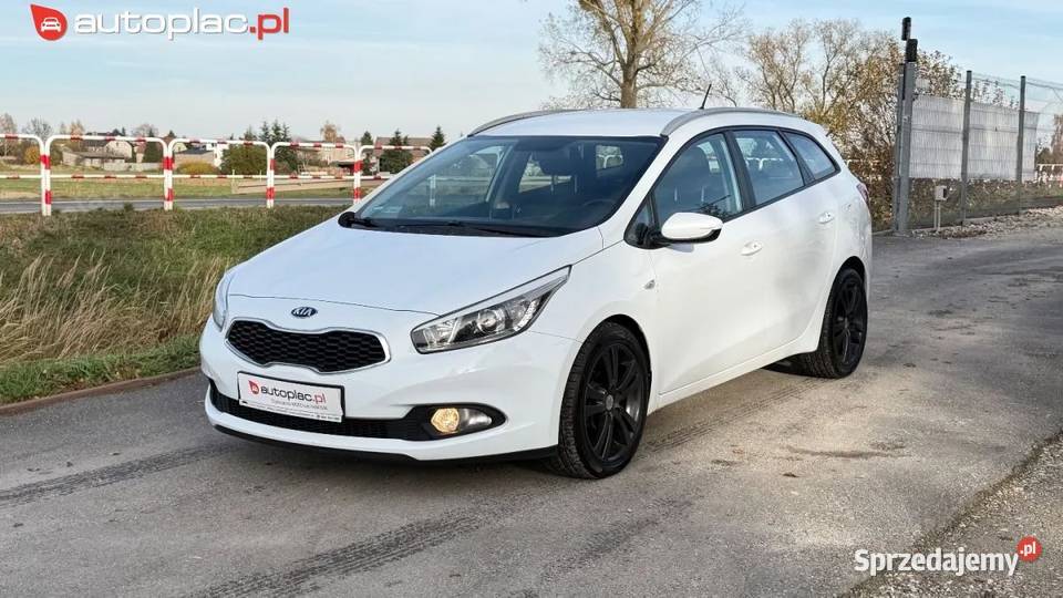 Kia Ceed Raty 14 benz Nowy rozrzad Nowe opony Cee'd