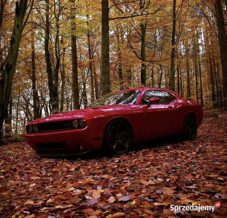 Challenger SRT8 64 V8 Gdynia