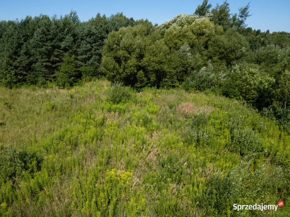 Ustawna zielona działka budowlana1535m2 Janik świętokrzyskie sprzedam