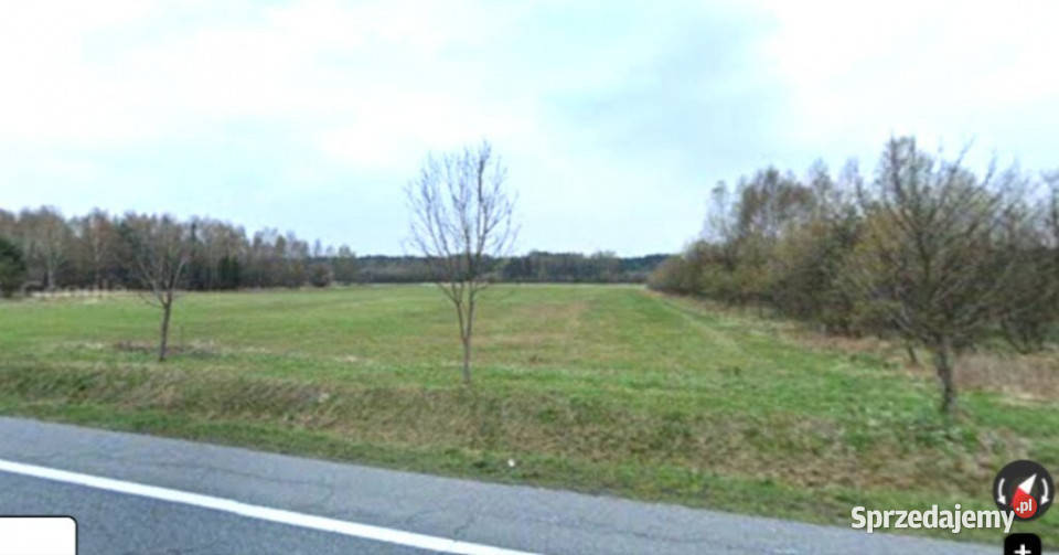 sprzedaż działka inwestycyjna 5477m2 Grodziec