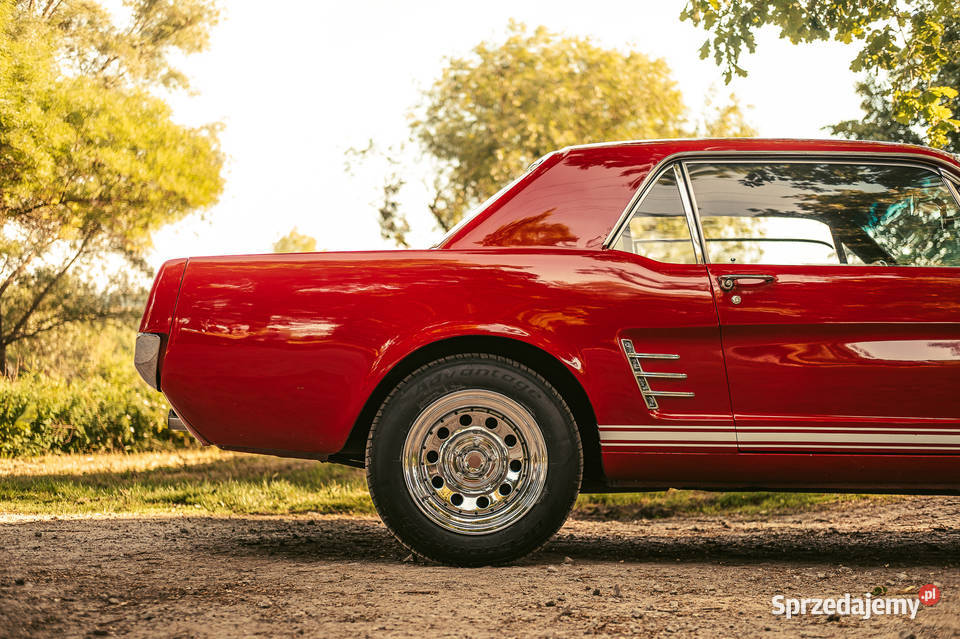 Sprzedam Ford Mustang 1966 V8 220KM Łańcut sprzedam