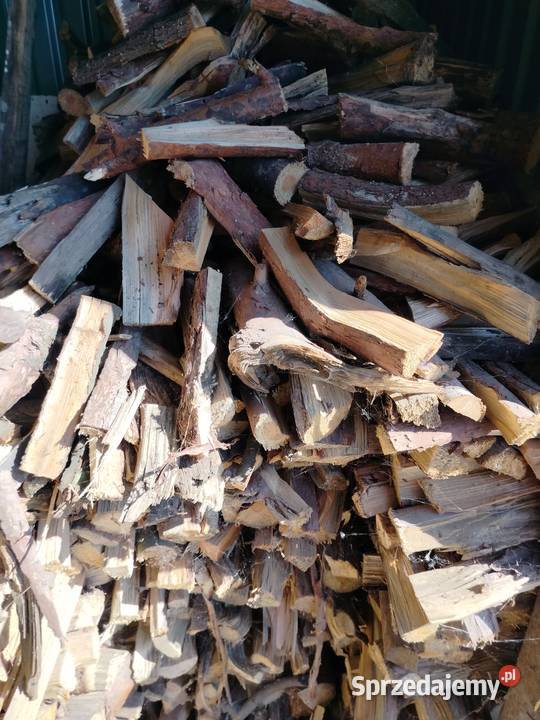 Drewno sosnowe łupane na rozpałkę kujawsko-pomorskie Bogucin