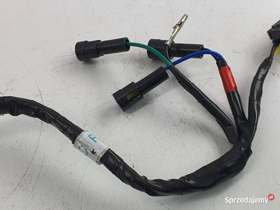 Kosrtka Wtyczka Wiazka Instalacja Triumph Speed Łódź sprzedam