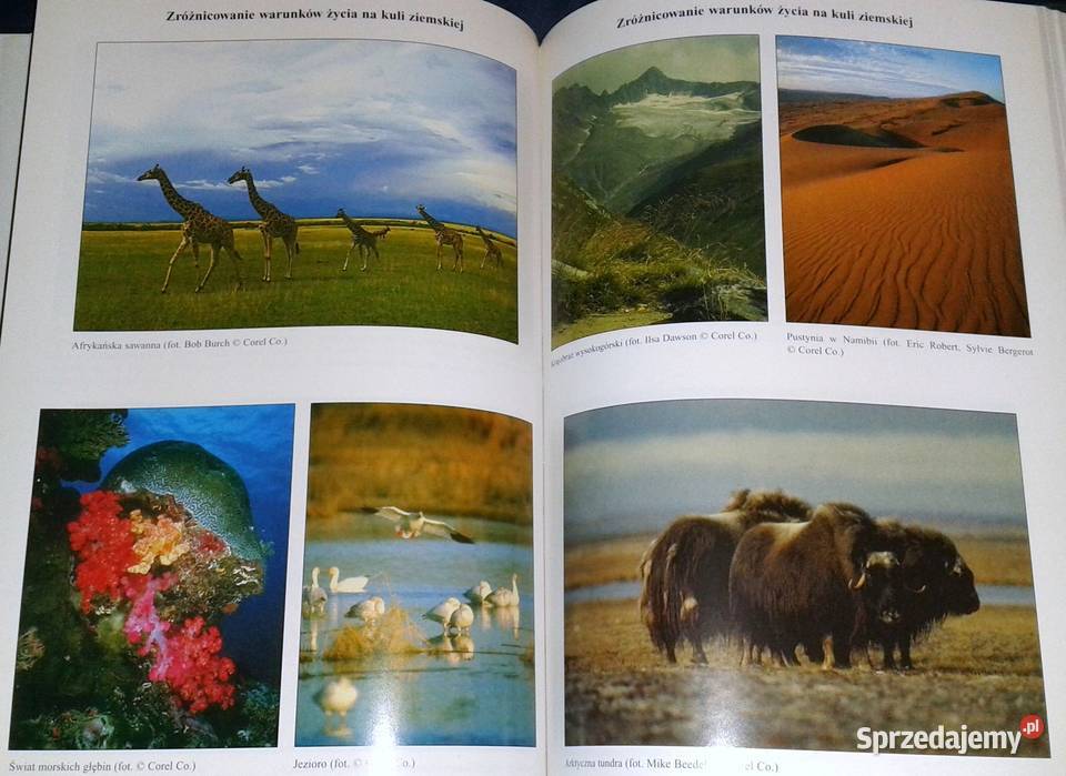 Aktualizacje Encyklopedyczne Życie Tom 3 sprzedam