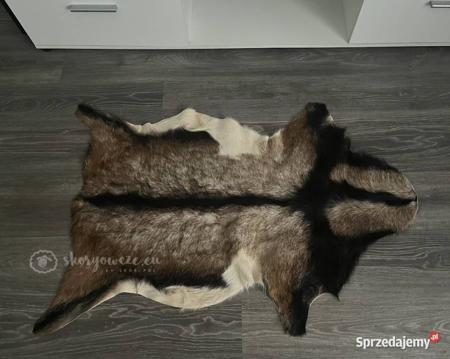 Unikatowa naturalna skóra kozia multicolor Szaflary sprzedam