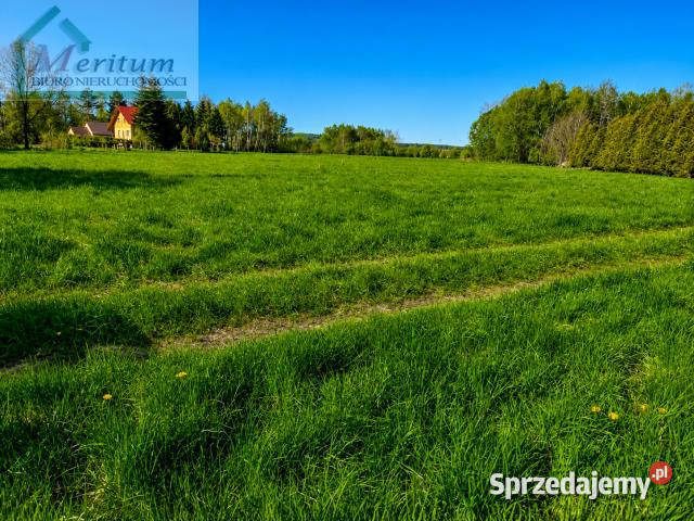 Grunt 1558m2 Zręcin