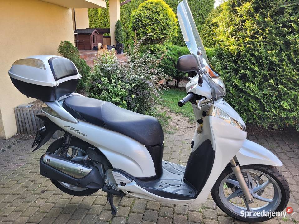 HONDA SH 300i 10ritalmotopila Piła