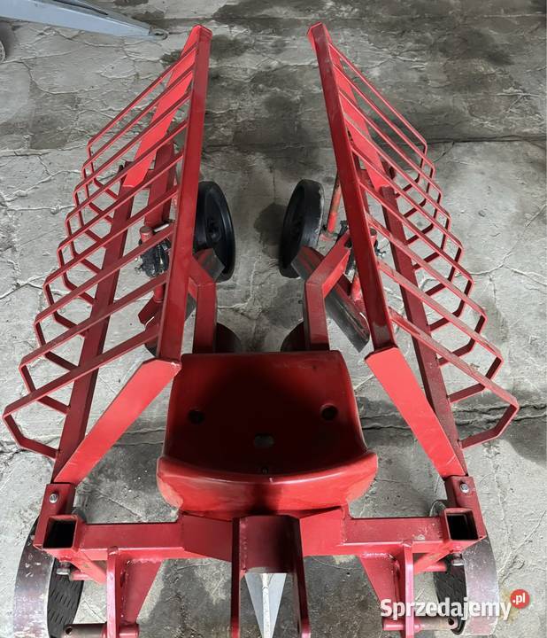 Sadzarka do porzeczki maliny Frampol